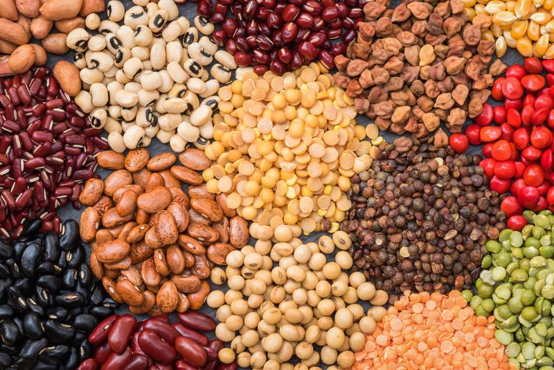 Dried beans from the grocery store, such as navy, pinto or kidney beans, are an inexpensive and available option for garden planting. GARDEN BEANS BY PEANGDAO/ADOBE STOCK